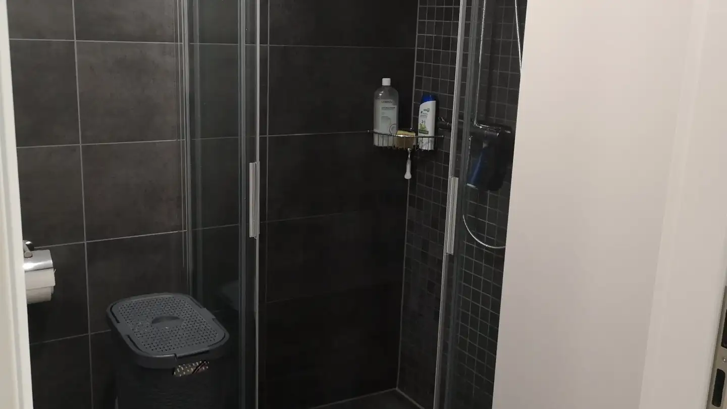 Appartement à louer - Chemin Du Carroz 8, 1020 Renens VD - Photo 3