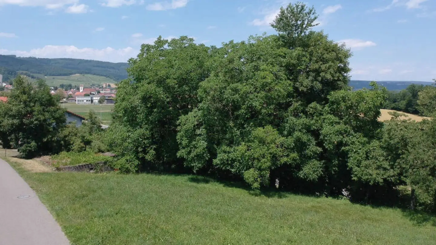 Constructible plot for sale - Schlossweg, 5106 Veltheim AG - Photo 2