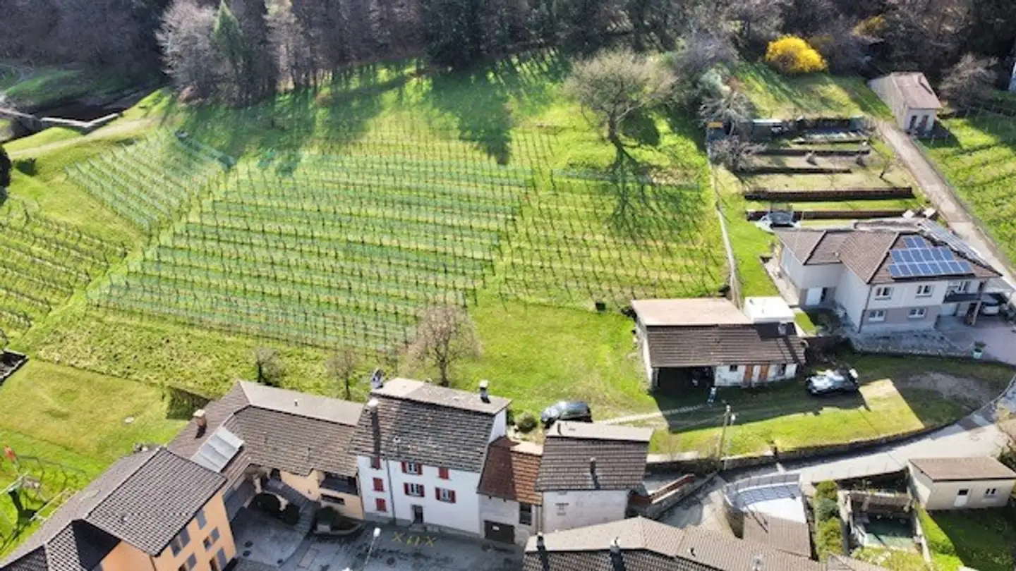 Terreno edificabile in vendita - In Cumlina 29, 6528 Camorino - Photo 2