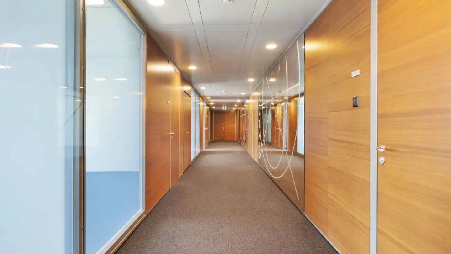 Commerciale in affitto - Avenue De L'etang 72, 1219 Châtelaine - Foto 4