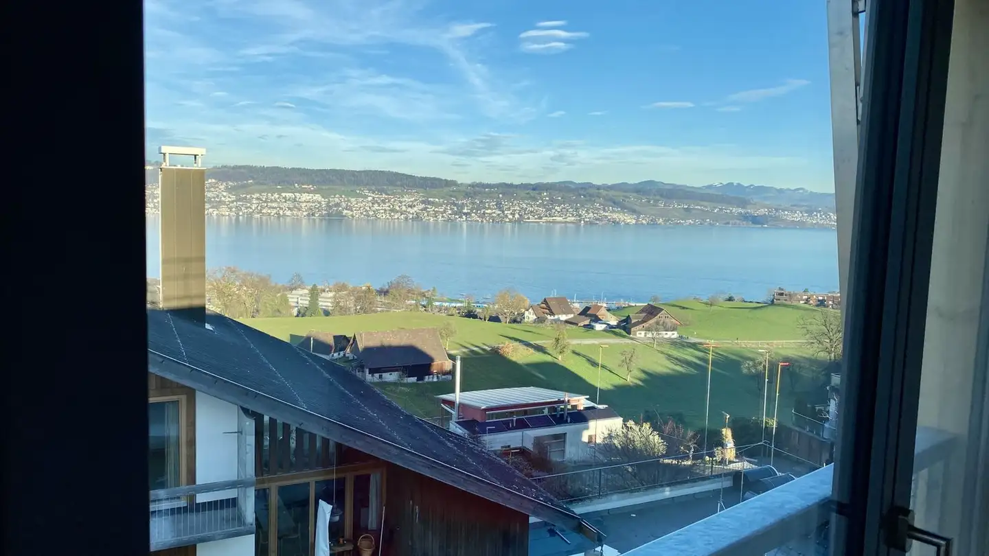 Apartment for rent - 8820 Wädenswil