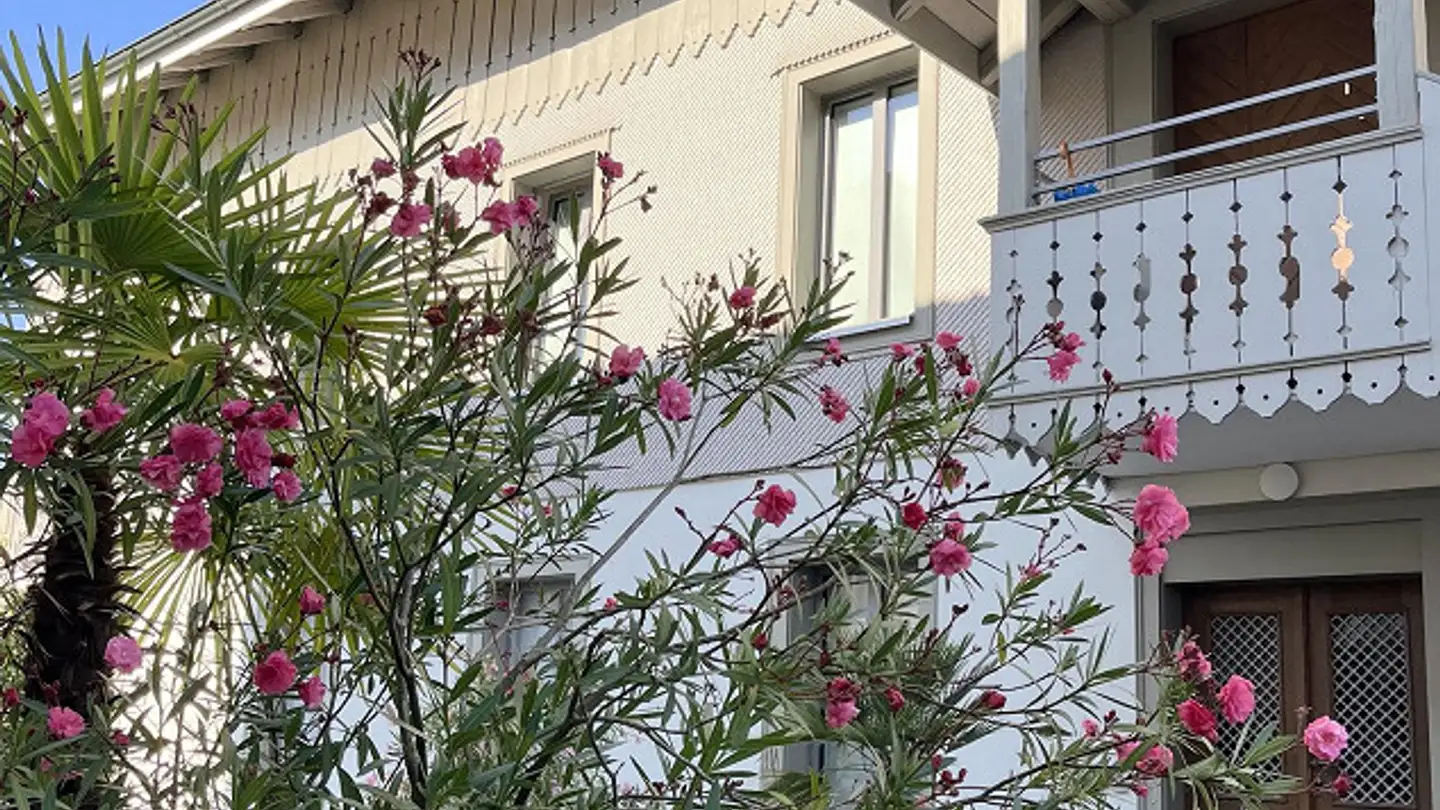 Appartamento in affitto - Schulhausstrasse 10, 4800 Zofingen - Foto 4