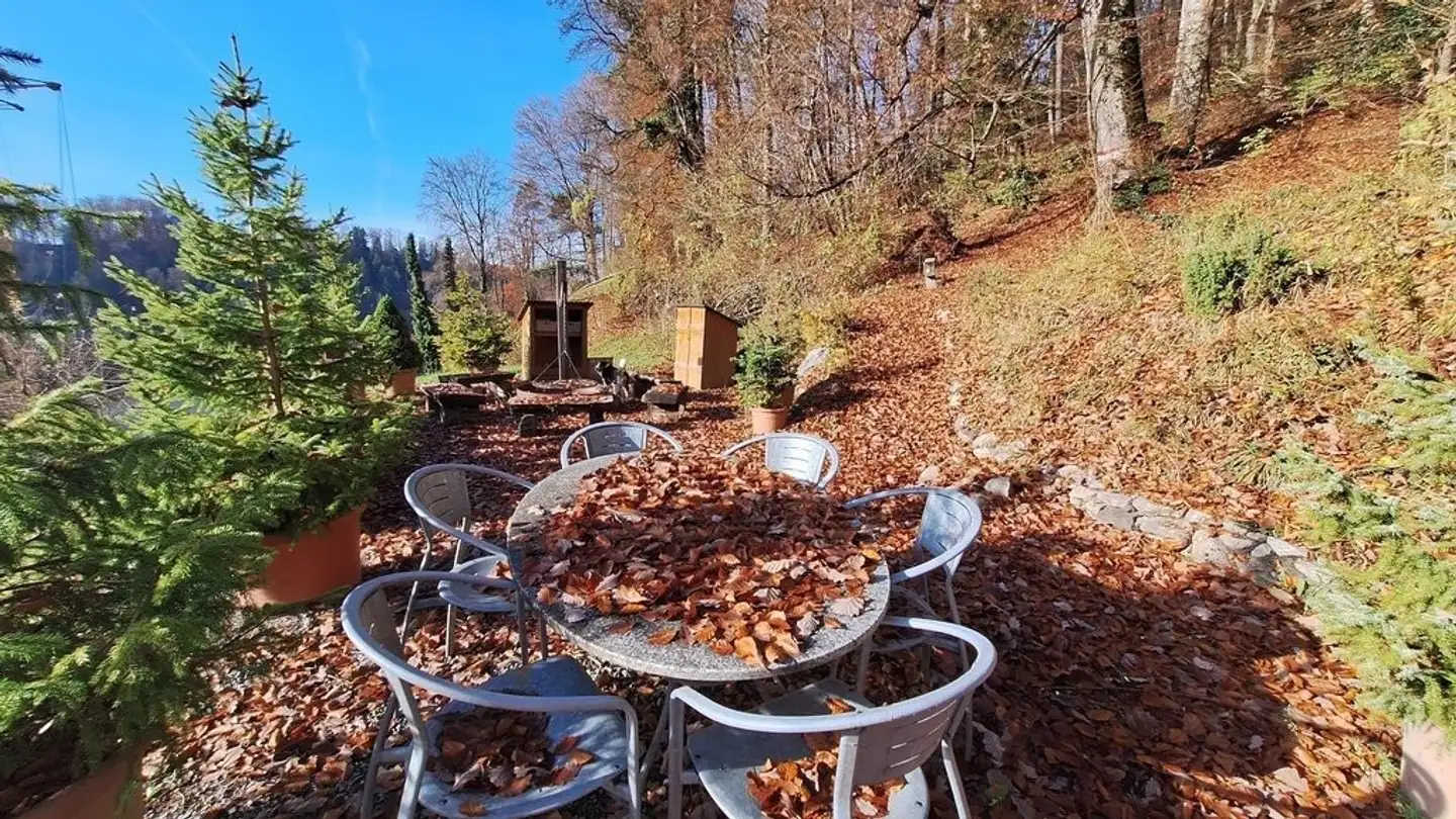 Commercial for rent - Diebis 27, 8143 Stallikon - Photo 2