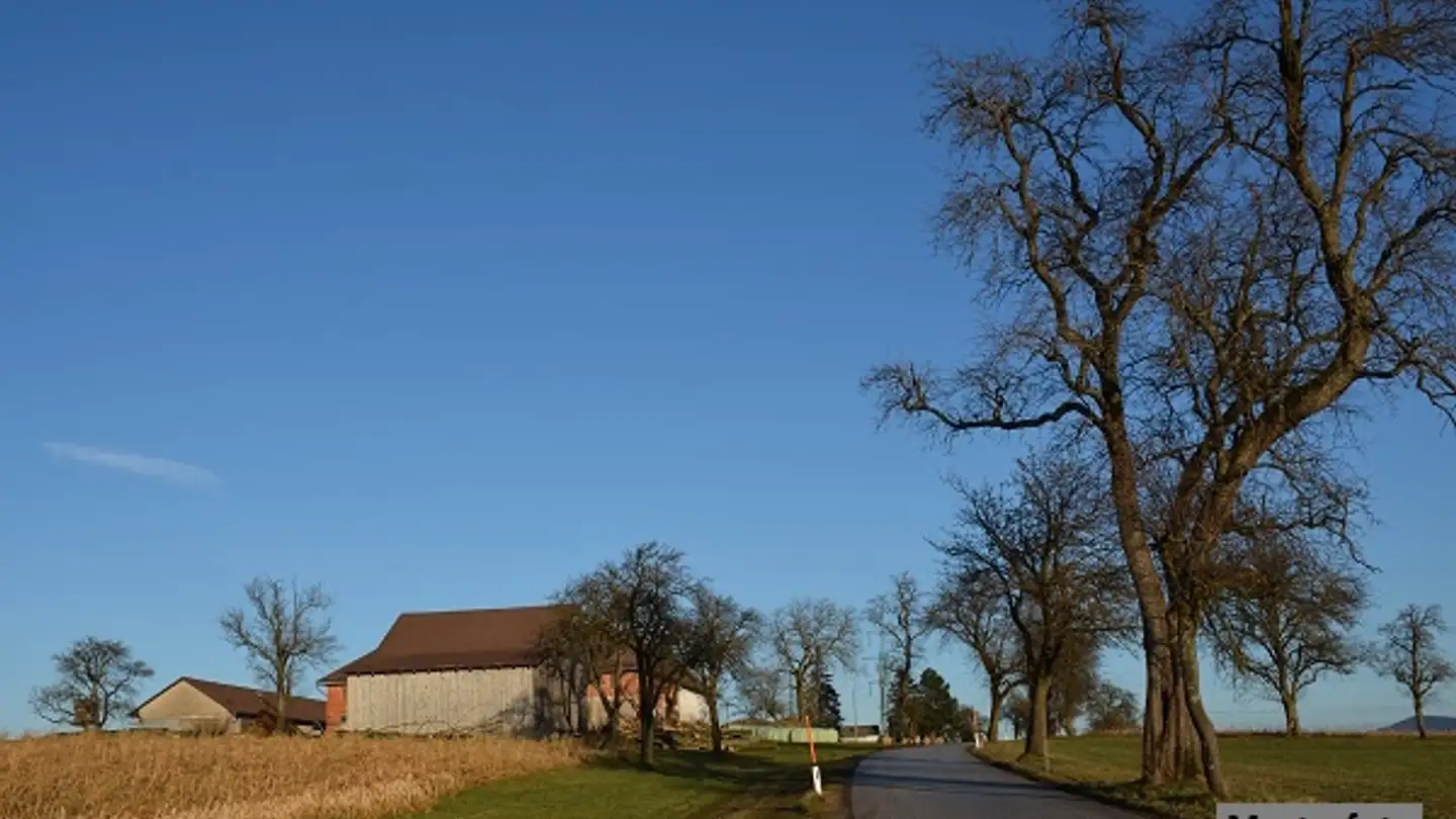 Farm for sale - Route Des Vergers, 1355 L'Abergement