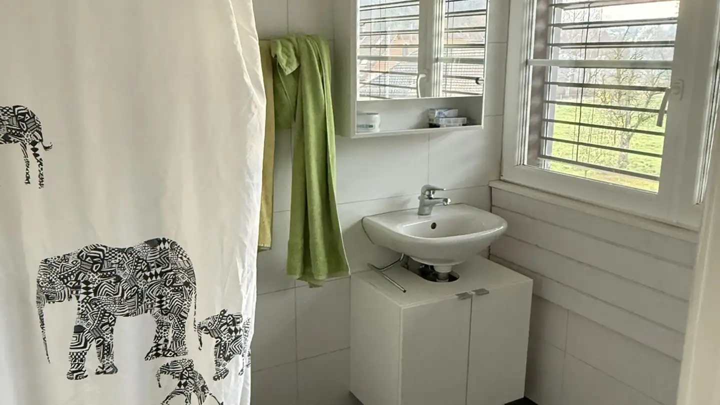 Stanza singola in affitto - 8352 Elsau - Foto 4