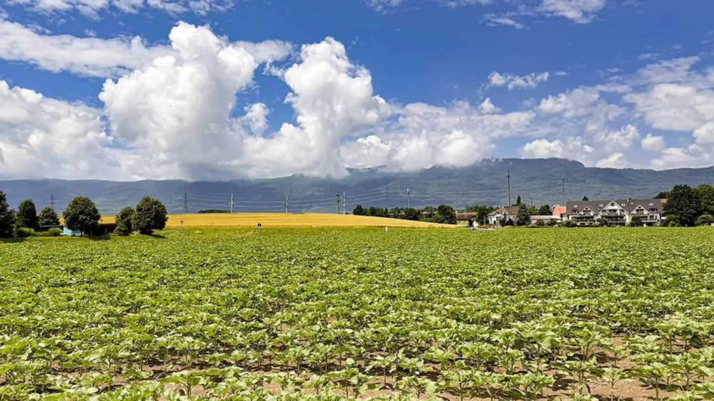 Single house for sale - 1262 Eysins