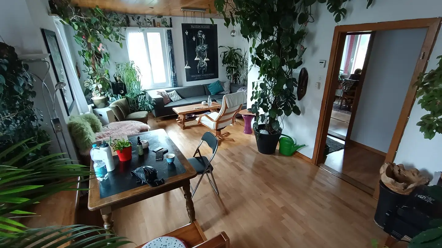 Zimmer mieten - 5200 Brugg AG