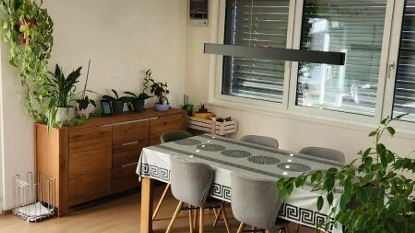 Appartamento in affitto - St. Gallerstrasse 52, 8352 Elsau - Photo 3