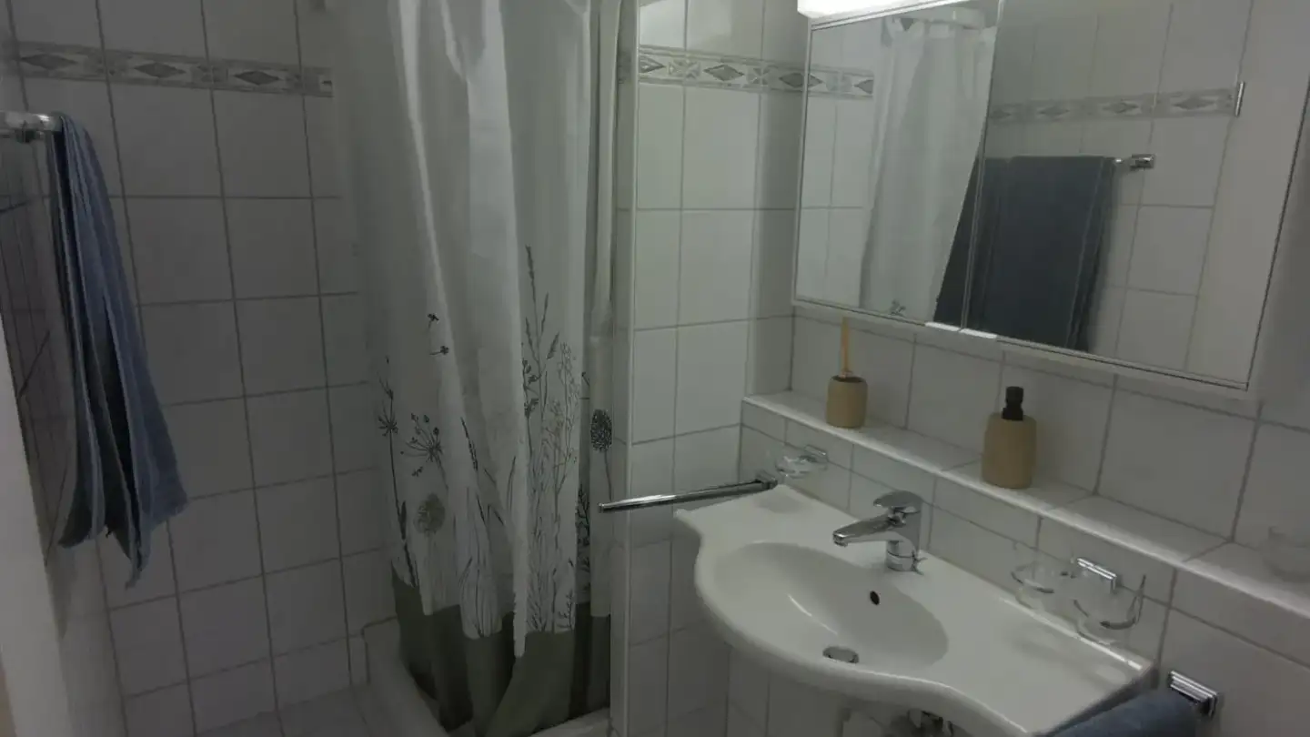 Attico in affitto - Grundacherstrasse 10, 8317 Tagelswangen - Foto 4