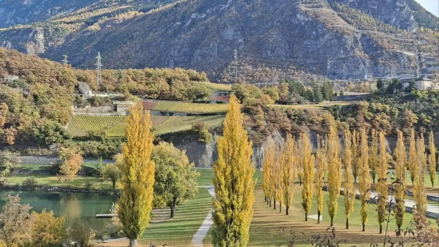 Zimmer mieten - Route Des Falaises 3, 3960 Sierre