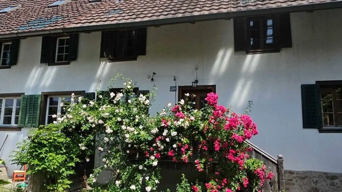 Wohnung mieten - Rennweg 20, 8932 Mettmenstetten - Foto 2