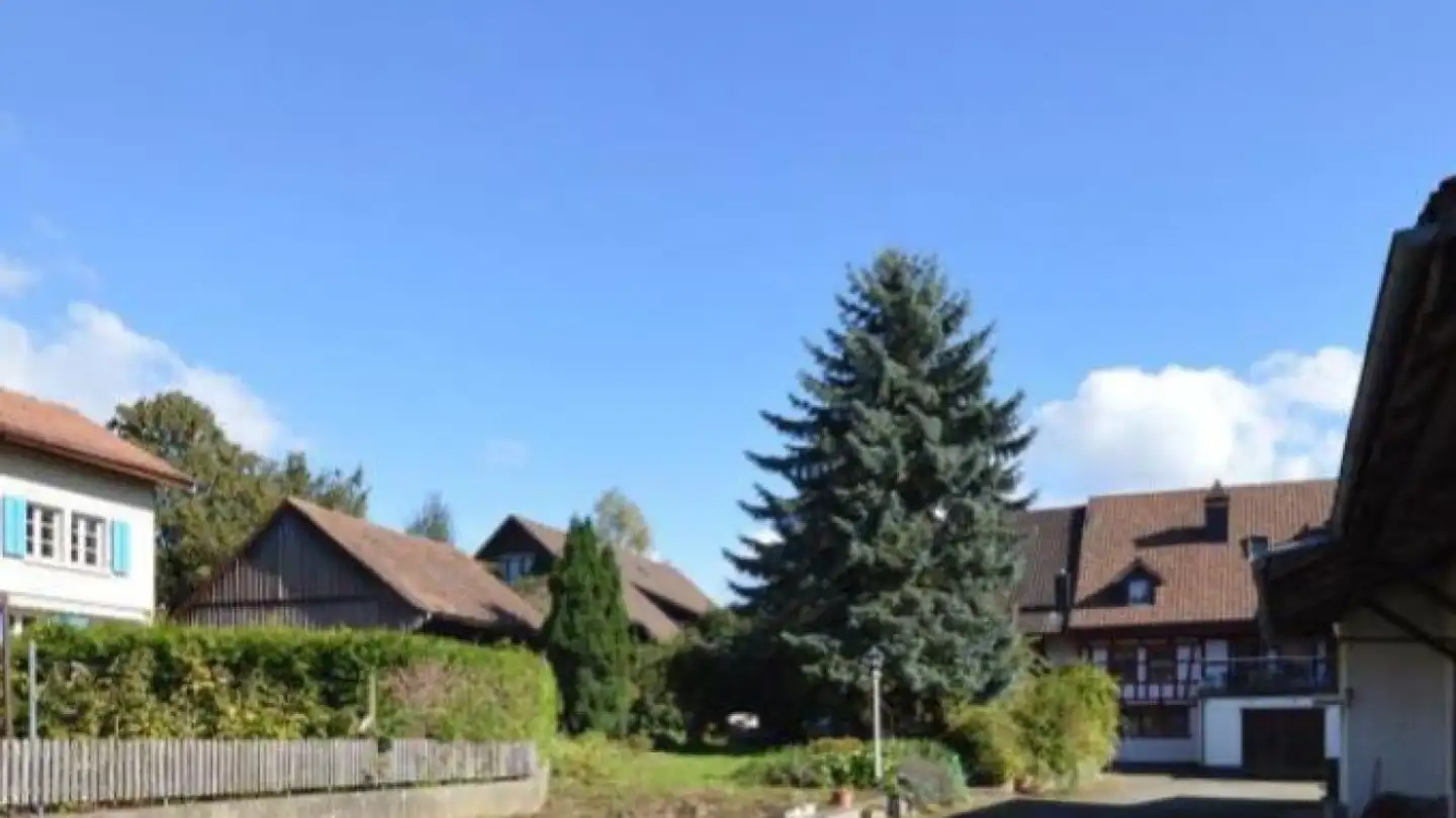 Bauernhof kaufen - Theiligerstrasse, 8484 Theilingen - Foto 3