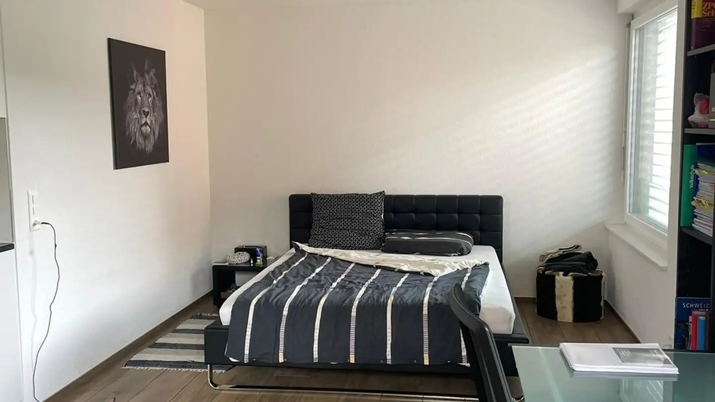 Appartamento in affitto - Dörflistrasse 74, 8050 Zürich - Photo 3