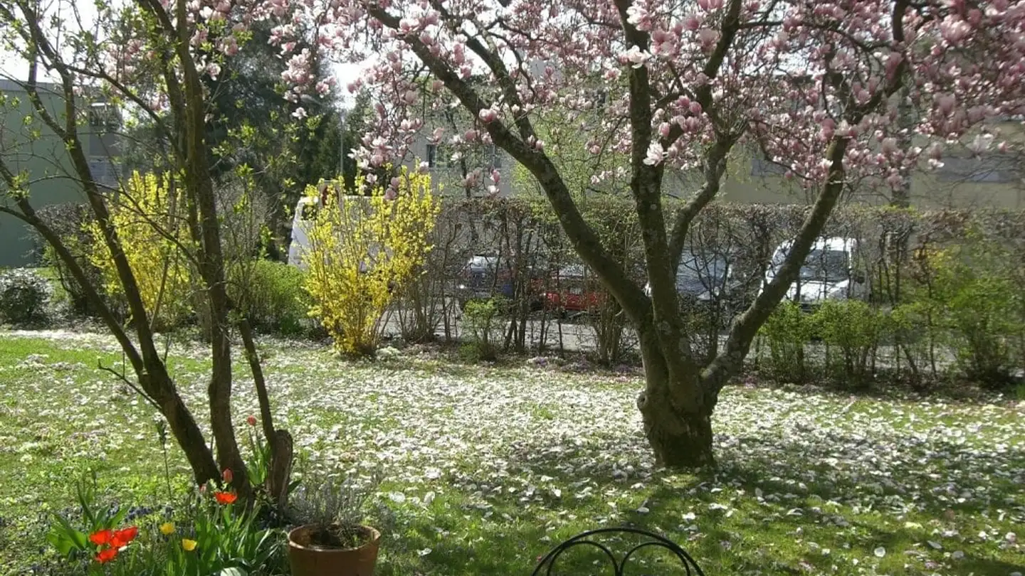 Wohnung mieten - Käshaldenstrasse 11, 8052 Zürich