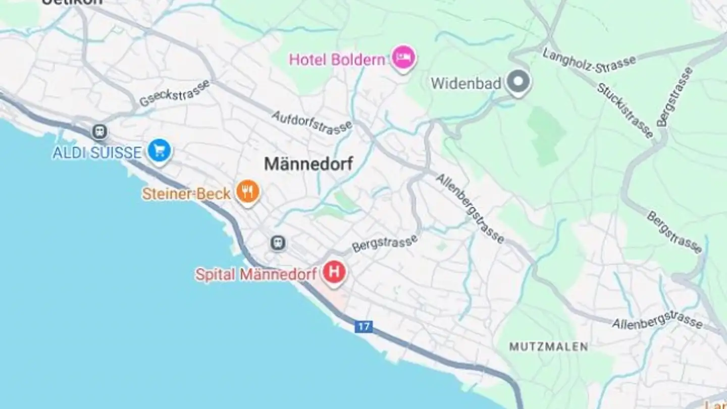 Apartment for sale - 8708 Männedorf