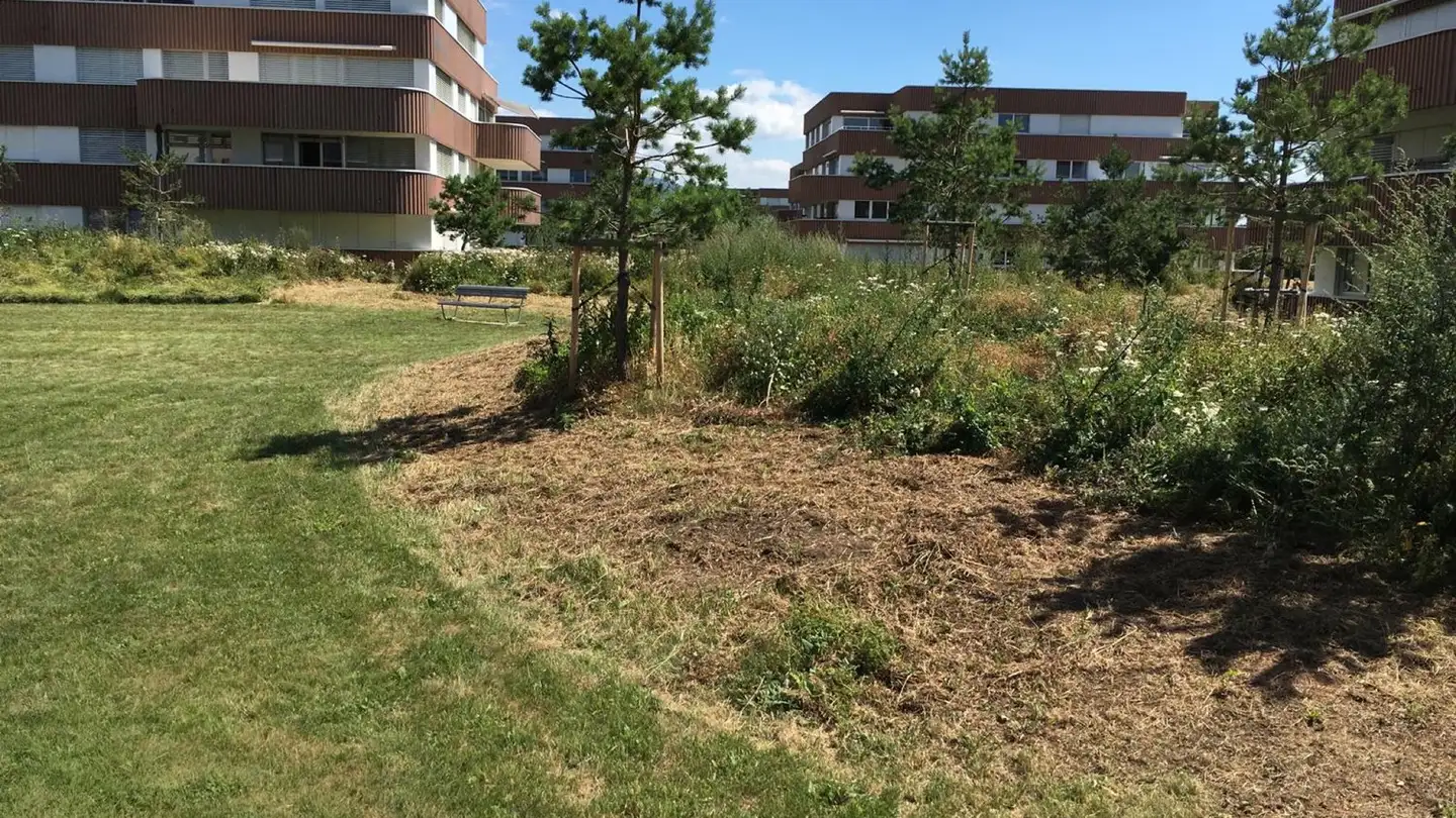 Appartement à louer - 2017 Boudry