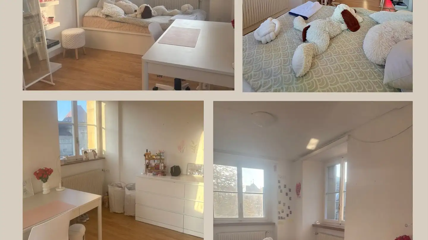 Stanza singola in affitto - Place De L'hôtel-De-Ville / Rathausplatz 1, 1700 Fribourg