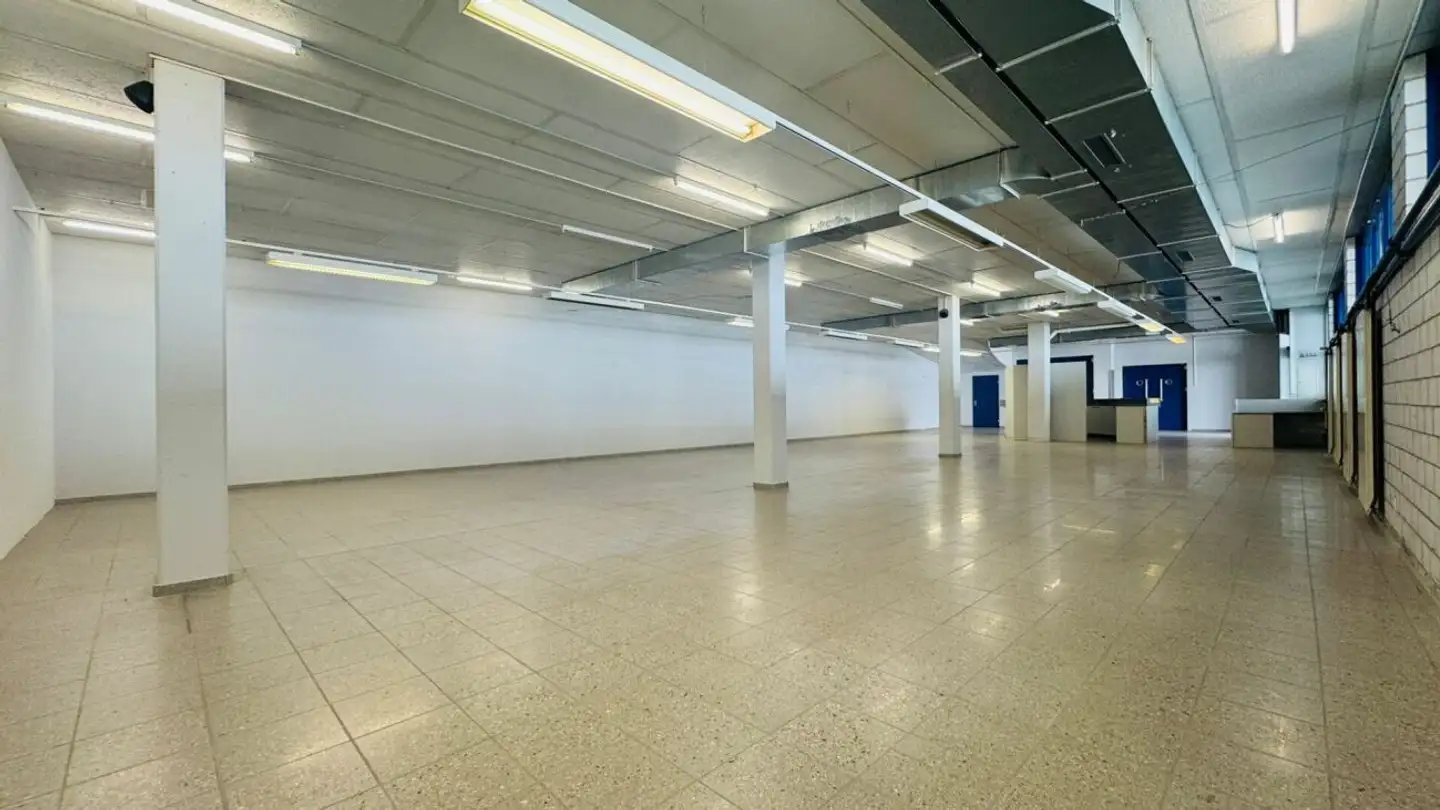 Commercial for rent - Langenhagstrasse 3, 4147 Aesch BL