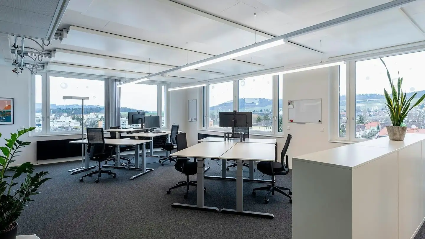 Gewerbe mieten - Bern-Strasse 39, 8952 Schlieren