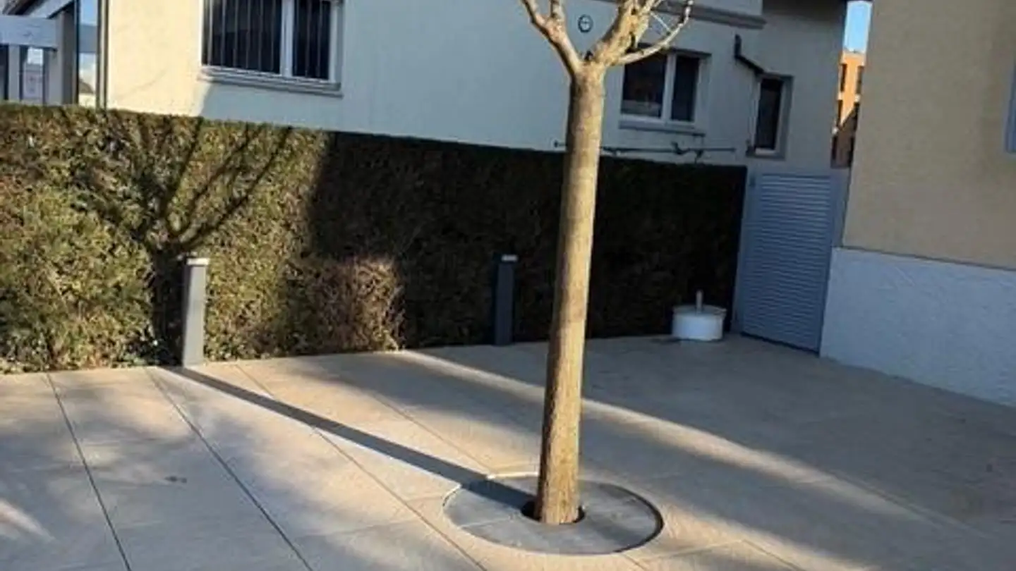 Commercial for rent - Schlossstrasse 15, 4133 Pratteln - Photo 4