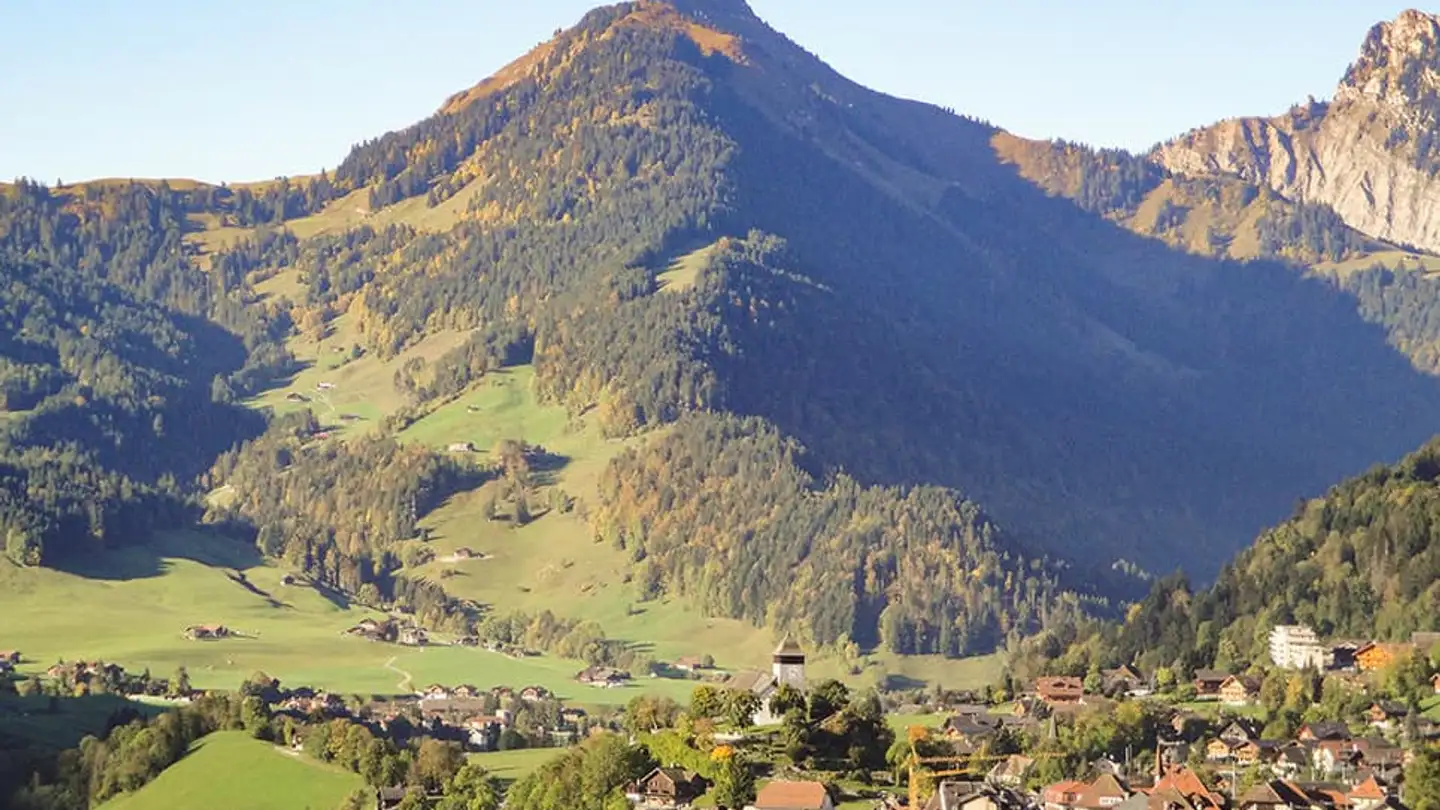 Appartamento in vendita - 1660 Château-d'Oex - Photo 3