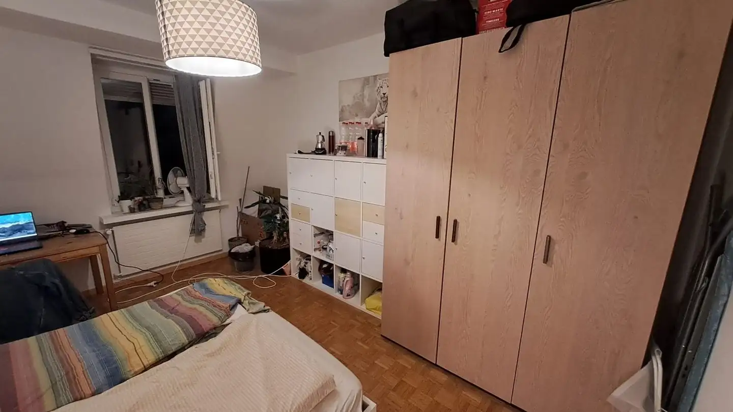 Chambre à louer - Hopfenstrasse 15, 8045 Zürich - Photo 2