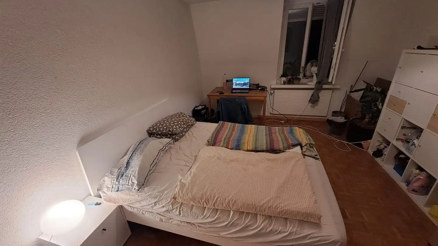Chambre à louer - Hopfenstrasse 15, 8045 Zürich - Photo 4