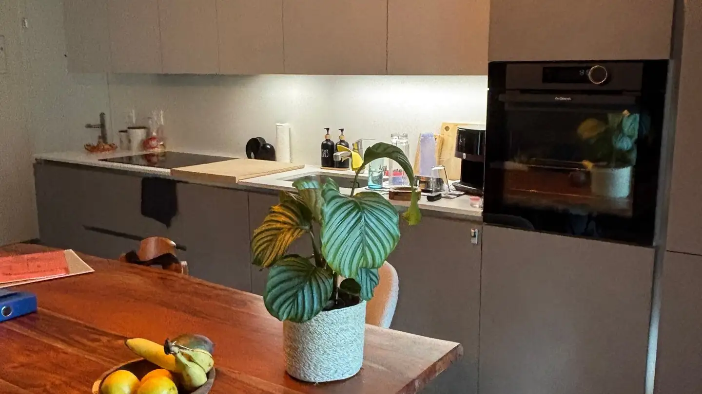 Apartment for rent - Via Pedemonte 10, 6572 Quartino