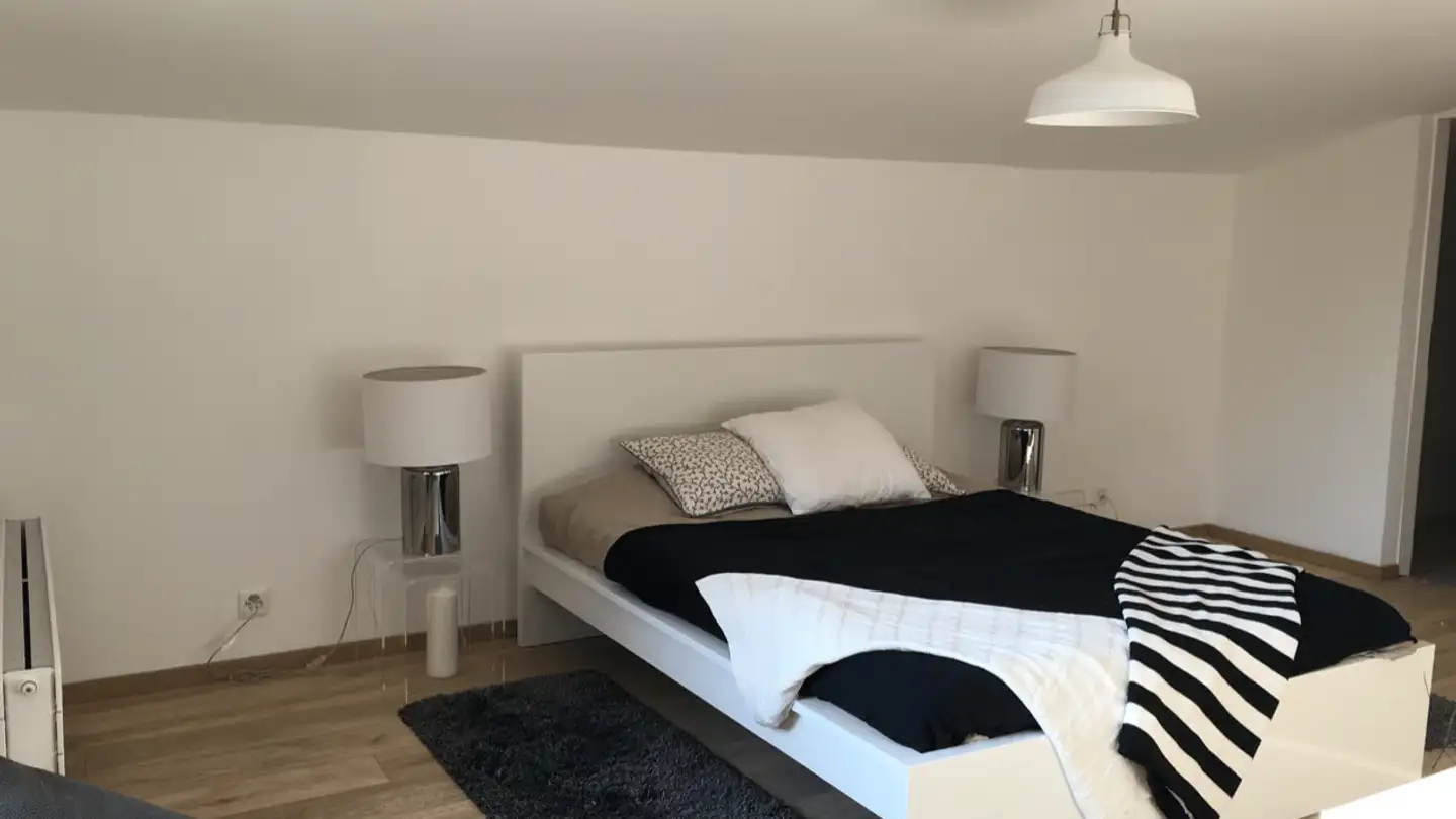 Single room for rent - Chemin Du Coteau, 1024 Ecublens VD
