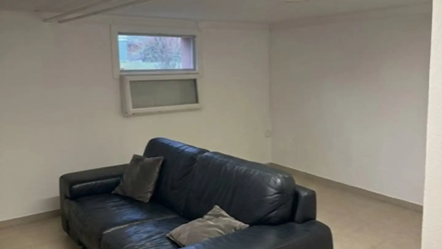Gewerbe mieten - Birseckstrasse, 4153 Reinach BL