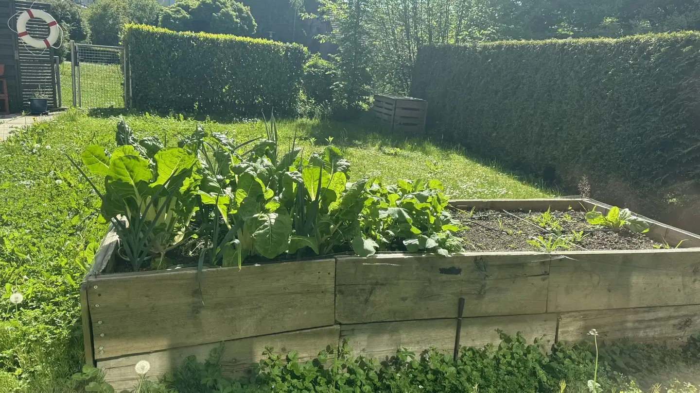 Single room for rent - Wieslergasse 8, 8049 Zürich - Photo 4