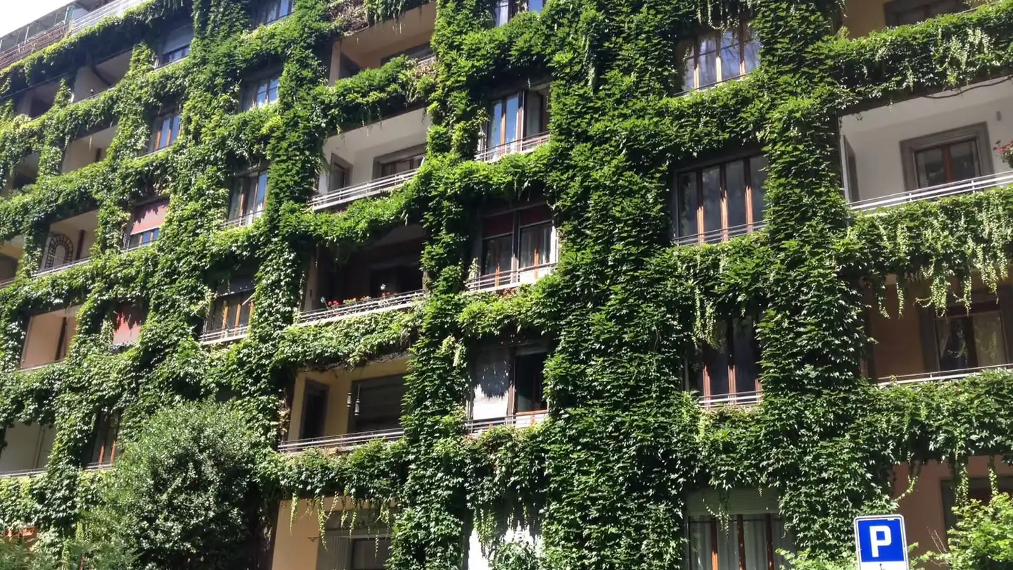 Appartement à louer - Rue De Contamines, 1206 Genève