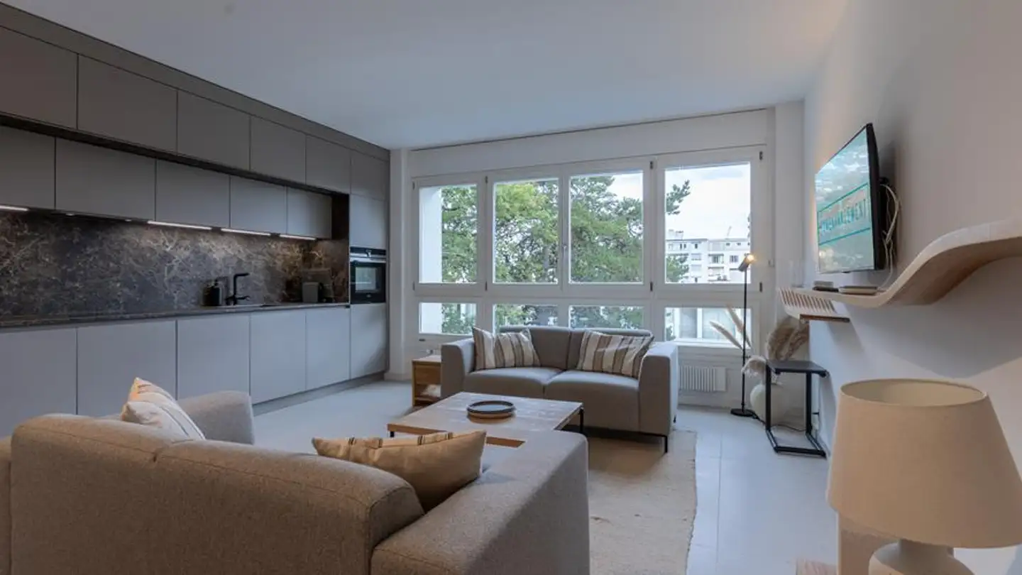 Apartment for rent - Rue Albert- Gos 1, 1206 Genève
