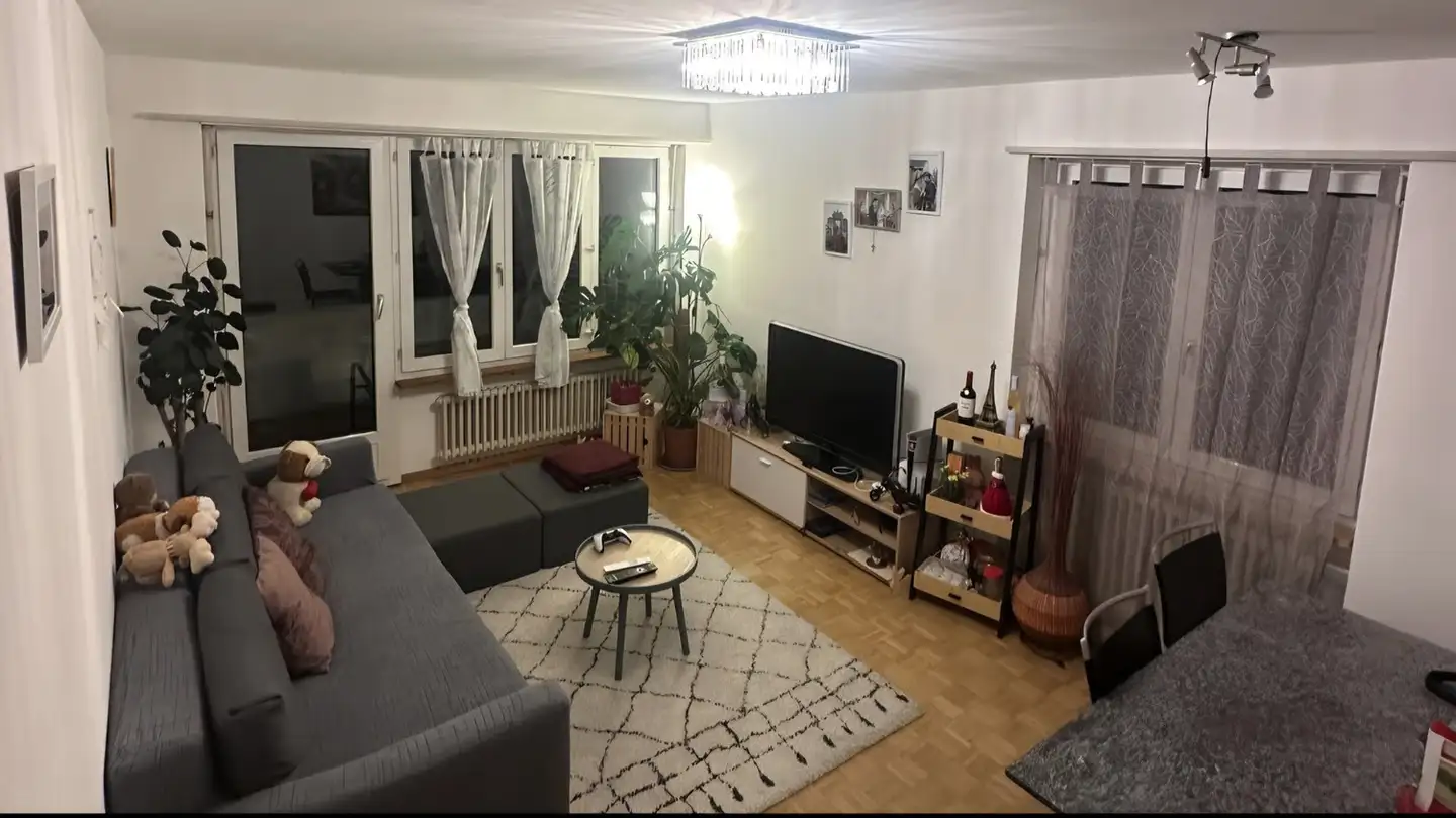 Appartamento in affitto - Strahleggstrasse 60, 8400 Winterthur