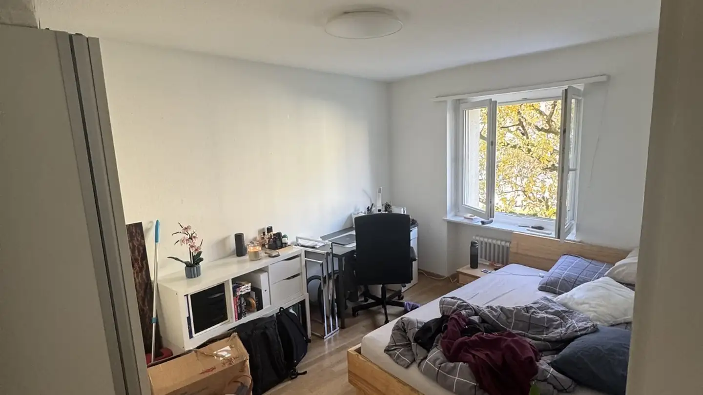 Chambre à louer - 8052 Zürich - Photo 3