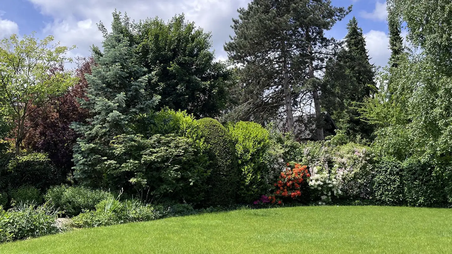 Villa in vendita - 4102 Binningen - Photo 4