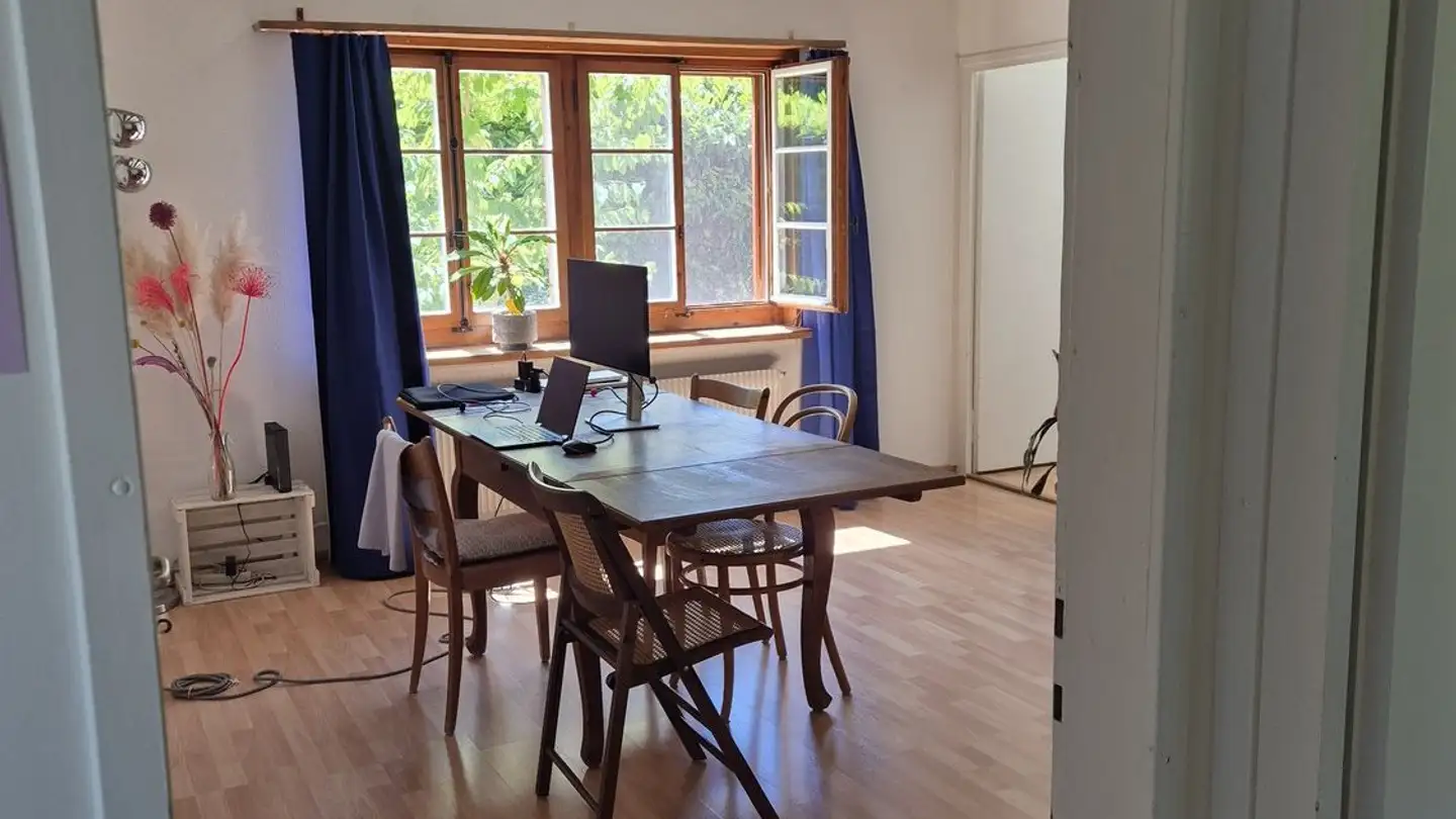 Casa singola in affitto - 8047 Zürich