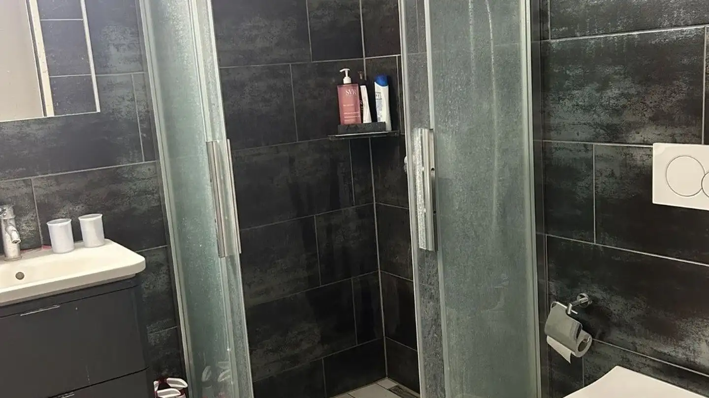 Appartamento in affitto - Neugutstrasse 3, 8304 Wallisellen - Foto 2