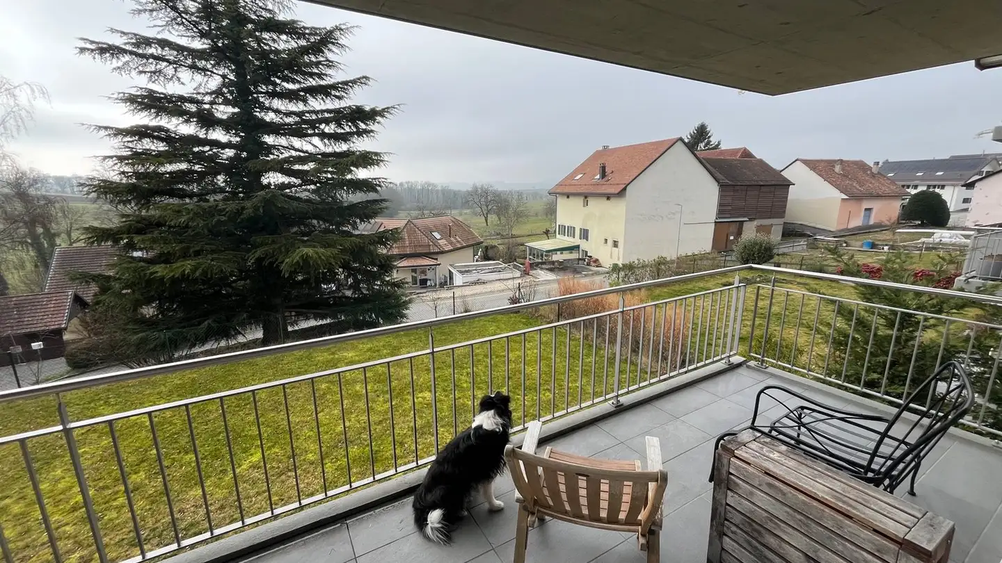 Appartement à louer - 1306 Daillens