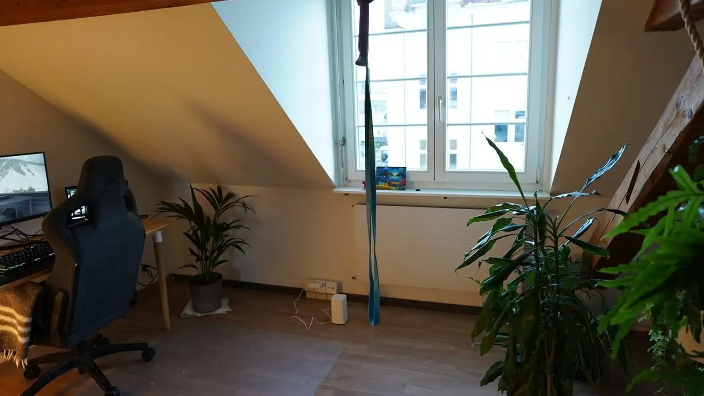 Appartement meublé à louer - Rosinliweg 44, 8400 Winterthur - Photo 2