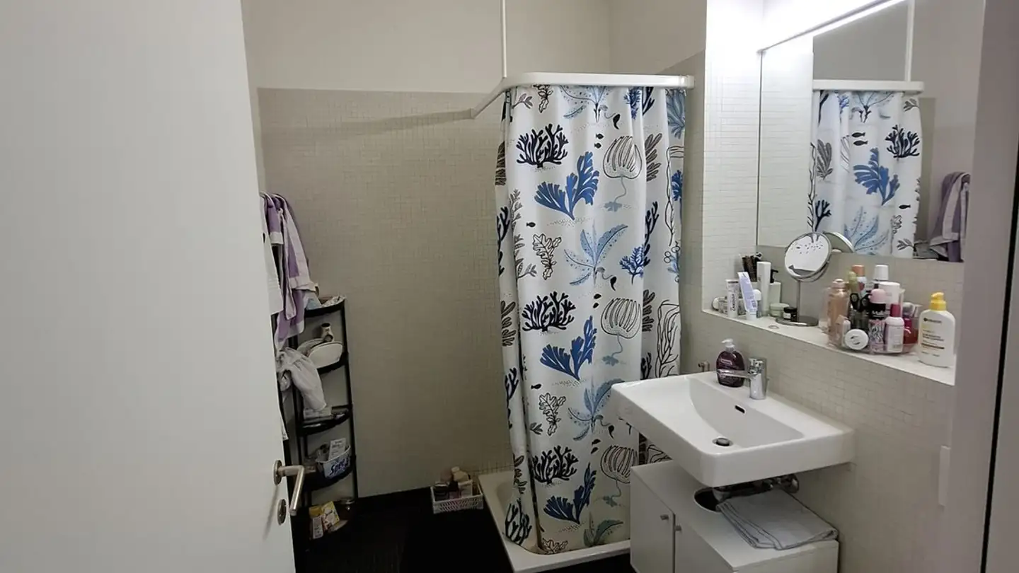 Single room for rent - Heerenschürlistrasse 1, 8051 Zürich - Photo 4