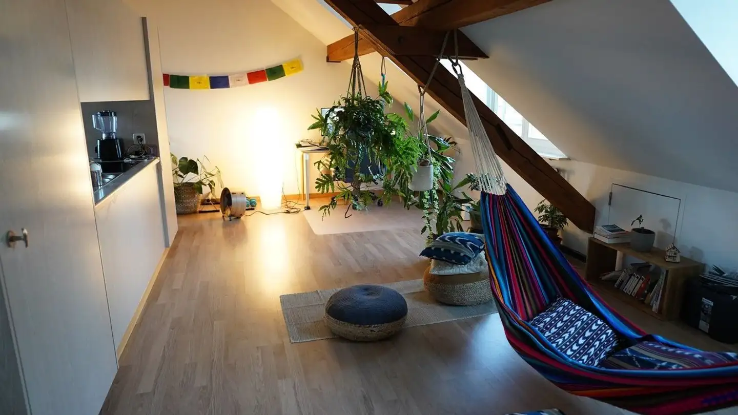 Appartement meublé à louer - Rosinliweg 44, 8400 Winterthur - Photo 4