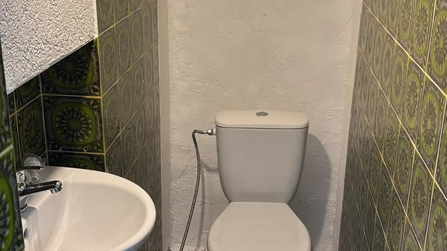 Appartamento in affitto - Rütistrasse 48, 8636 Wald ZH - Foto 3