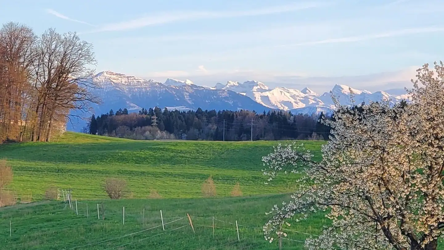 Penthouse for sale - Stampfenmattstrasse 1, 8909 Zwillikon - Photo 2