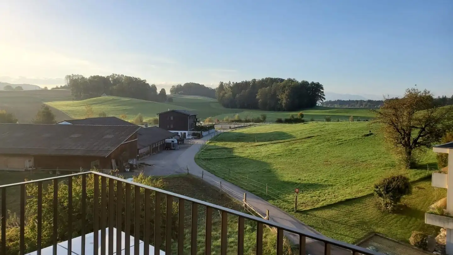 Penthouse for sale - Stampfenmattstrasse 1, 8909 Zwillikon - Photo 3