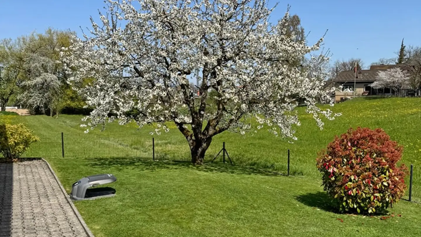 Einfamilienhaus kaufen - Weidgasse 22, 4900 Langenthal - Foto 3