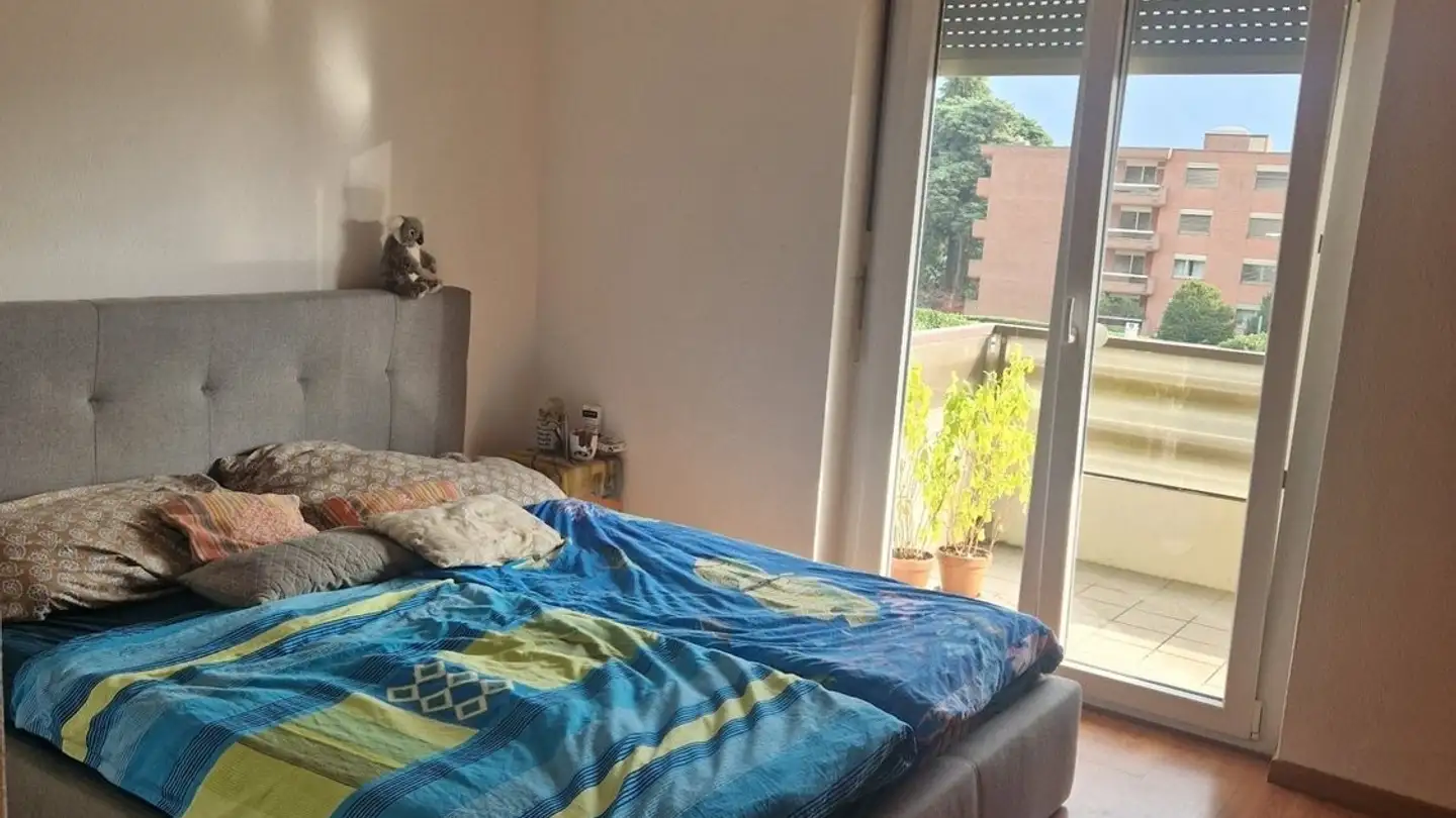 Appartamento in affitto - 6815 Melide