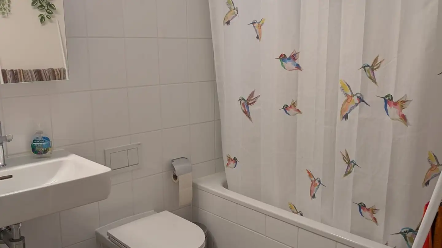 Chambre à louer - Robert-Sulzer-Gasse 18, 8400 Winterthur - Photo 3