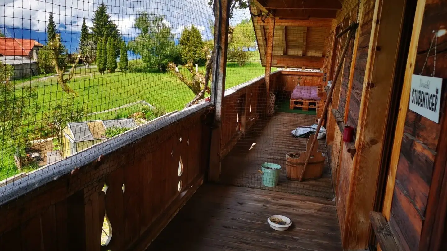 Apartment for rent - Zelgweg 25, 3655 Sigriswil - Photo 3