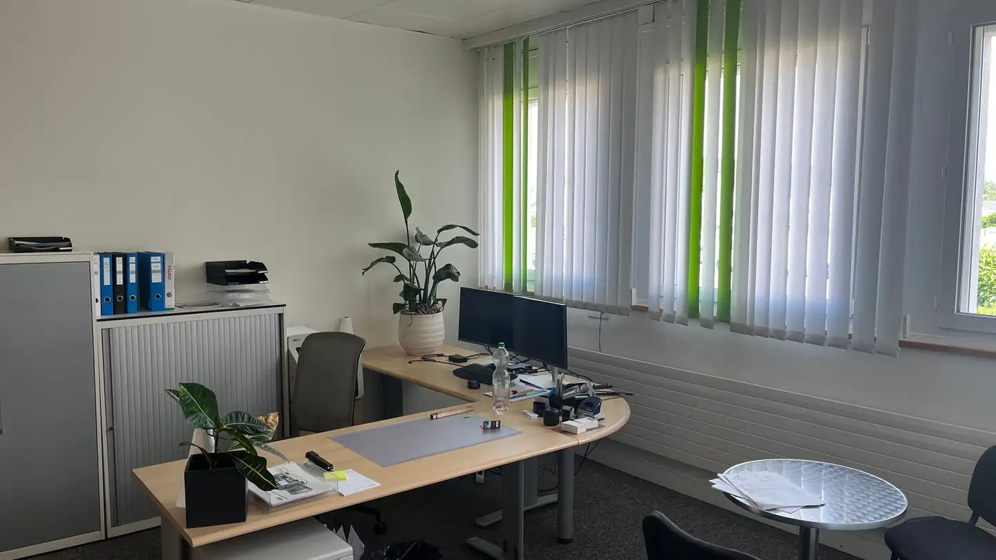 Proprietà industriale in affitto - Im Dorf 23, 9203 Niederwil SG - Photo 3